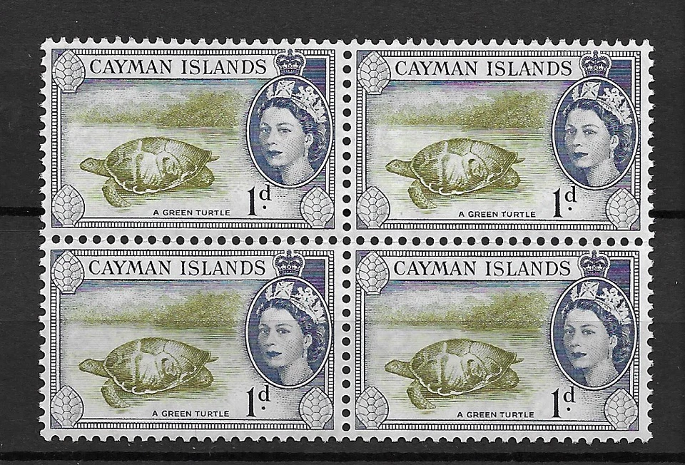 Islas Caimán 1953 1d Marrón Oliva e Índigo - Tortuga Verde MNH Bloque 4 S.G. 150 Foto 1 de 1
