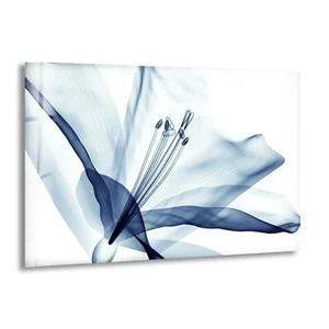 Arte de pared de vidrio con flores azules Xray - Imagen 1 de 9