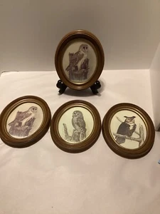 Owl Picture Plaques E. Rambow 5.5"x6.5" Art Print Set Lot of 4 Vintage Framed - Picture 1 of 9