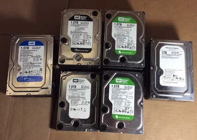 Lote de 15 ~ 1TB Western Digital 3.5" SATA discos duros PC ~100% saludables, de baja vida útil Foto 1 de 4