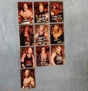1998 Topps WCW / nWo 10 Card Sticker LOT  Complete Set  WCW/nWo Stickers WWE TNA - Picture 1 of 24