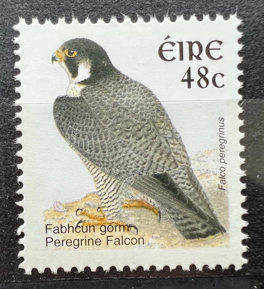 Estampillas irlandesas Irlanda 2002-04 pájaro halcón peregrino 48c EIRE MNH Foto 1 de 1
