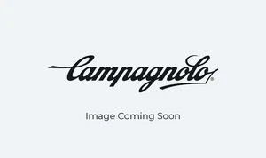 Campagnolo Ekar 42 Chainring+Screws - Picture 1 of 1