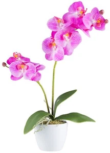 Phalaenopsis 9 Blüten 57cm,orchid, realtouch im Keramiktopf 11cm weiss Kunstpfla - Bild 1 von 1