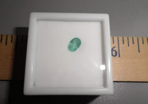 WOW Earth mined Natural Colombian EMERALD Loose 7x 5mm Emerald E5570 - Picture 1 of 2