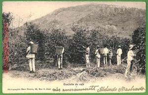 ah2789 - BRASIL - POSTAL VINTAGE Postal Antigua - ÉTNICA - 1904 - Imagen 1 de 1