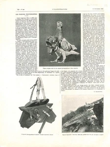 PIGEON VOYAGEUR PHOTOGRAPHE / FAMILLE ALLEMANDE VISITANT PARIS GRAVURE 1908 - Picture 1 of 2