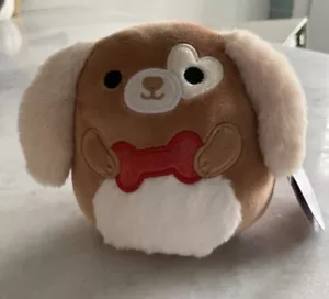 Delroy Dog Squishmallows Official Plush Toy 4.5” New HTF 2021 - Picture 1 of 9