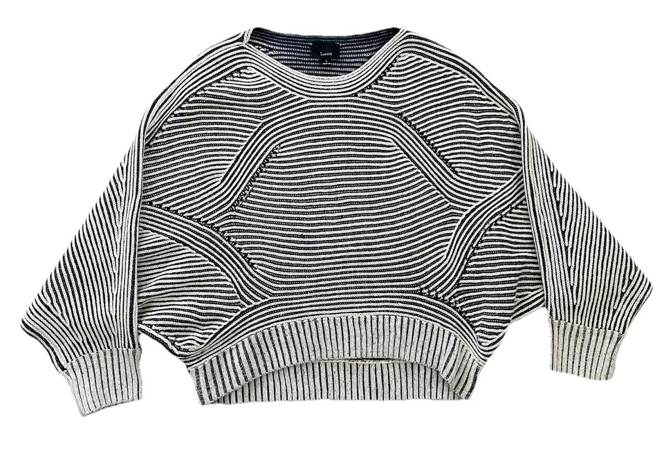 Lumiere Women's Sz L Striped Dolman Sleeve Sweater Blue/Ivory Chunky Knit Soft - Image 1 of 4