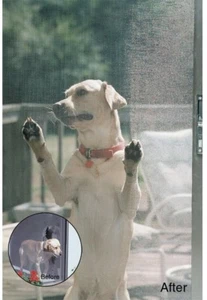 Haustüren Sichtschutz Anwendung Hund Katze Welpe Haustier Bildschirm Spline Roller schwarz  - Bild 1 von 7