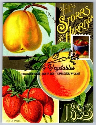 #5491 Fruits and Vegetables Strawberries FDC Maxi Card w/Pictorial Cancel - Image 1 of 2