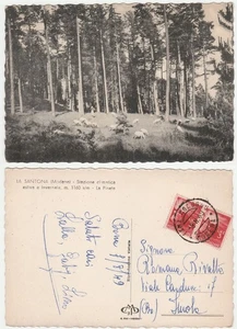 LA SANTONA - MODENA - LA PINETA - VIAGG. 1949 -33203- - Bild 1 von 1
