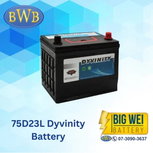 Dyvinity 75D23L - Picture 1 of 3