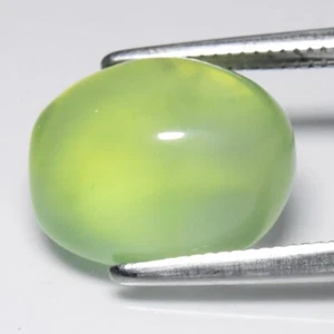 💎 Cabochon ovale 6,22 ct 12x9,7 mm prehnite verde naturale - Africa - Foto 1 di 10