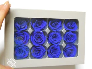 Verdissimo Real Preserved Roses Mini Blue 12 Ct Wedding Floral Arrangements - Picture 1 of 10