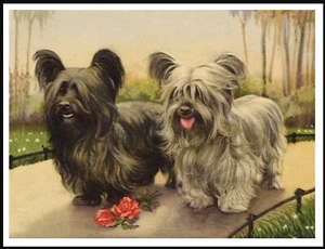 SKYE TERRIER ZWEI HUNDE SCHÖNER KUNSTDRUCK POSTER VINTAGE STIL HUND - Bild 1 von 1