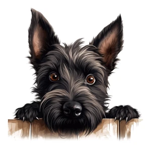 Scottish Terrier Auto Aufkleber 9X9 cm Hunde Sticker - Picture 1 of 1
