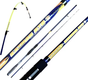 Canna da Pesca Seppie Calamari Totani 2.70Mt Barca e Riva Eging Mare Seppia - Foto 1 di 1
