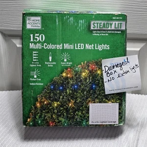 Home Accents Holiday 150 Multi-Colored Mini LED Net Lights Steady Lit 4x6 ft (R - Picture 1 of 6