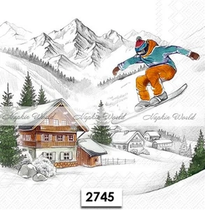 (2745) ZWEI Papier LUNCHEON Decoupage Kunst Handwerk Servietten - SKIFAHRER SKI SKI WINTER - Bild 1 von 3