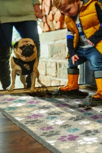 Hug Rug (Pet45) Dirt Trapper Door Mat / Runner Machine Washable - Picture 1 of 3