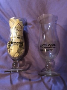 2 Vintage Scioto Downs The Penthouse Ohio Horse Racing CocktailGlasses - Picture 1 of 5