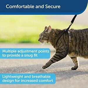 Cat Harness & Bungee Leash Kitten Training Nylon Slide Adjust No Throat Pressure