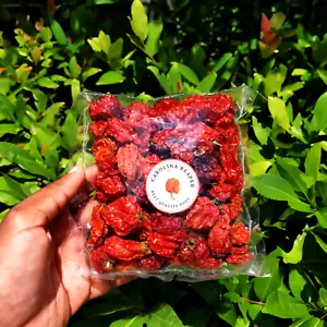 50 Super Hot Whole Dried Carolina Reaper Pods Premium Quality Extreme Hot Pods🔥 - Picture 1 of 5