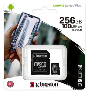 Kingston - MicroSDXC Canvas Select Plus - 256 Go - Photo 1 sur 4