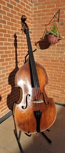 Stentor Arcadia Double Bass with Case Cover, 3/4 - Picture 1 of 22