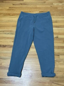 Patagonia Roaming Joggers Women's L Blue Drawstring Tapered Leg Organic Cotton - Picture 1 of 11
