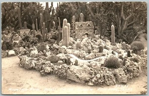 EDINBURG TX MOUNTAIN HOME PIRTLE KAKTUS GARTEN ANTIK ECHTFOTO POSTKARTE RPPC - Bild 1 von 2