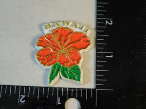 IMÁN NEVERA HAWAII RECUERDO VIAJE - Imagen 1 de 2