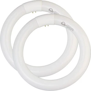 8 inch FC8T9/CW 22W Cool White Circular Fluorescent Light Bulb, Round T9 22 W... - Picture 1 of 1