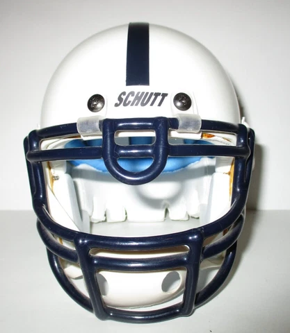 Penn State Nittany Lions Schutt Football Mini Helmet Cover