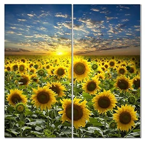 Best 2 Panel Sunflower Canvas Wall Art Decor, Modern 24x24 Flower Field Print - Picture 1 of 9