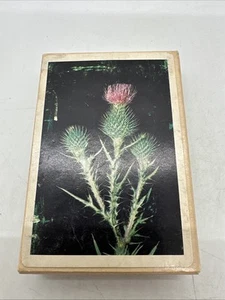 Edible And Poisonous Plants Of The Western States Deck Of Cards Rare Find - Picture 1 of 12