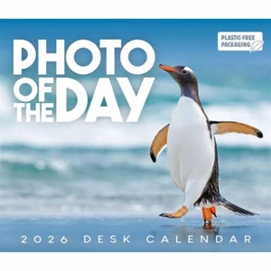 Otter House Photo Of The Day Desk Calendar 2026 - Picture 1 of 6
