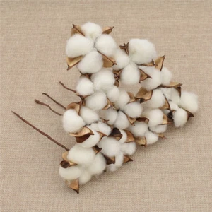 10x Natural Cotton Dried Flowers Heads Branch DIY Craft Wedding Party Decoration - Picture 1 of 4