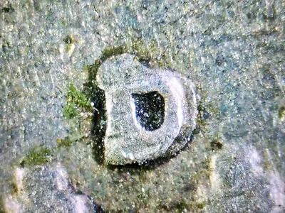 1959 D/D Franklin Half Dollar RPM XF/AU You Grade It! 90% Silver EF Free Ship! - Image 1 of 4