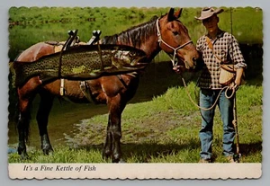 Tarjeta postal exagerada de trucha arco iris a caballo con pescador vaquero sin publicar - Imagen 1 de 2