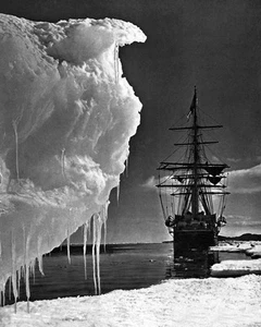 Scotts Ship The Endeavour Black and White Art Poster Print - Foto 1 di 1