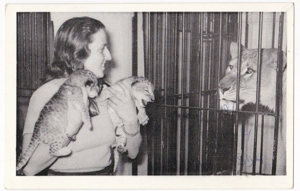 AK Dompteuse Taranda signiert 1954 Löwe Artisten Akrobatik Zirkus Circus - Bild 1 von 2