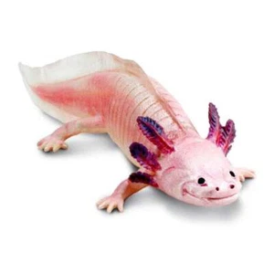 Safari Ltd Axolotl Toy Figure, #SAF104650 - Picture 1 of 7
