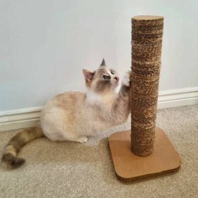 Cat Scratching pole Cardboard Post Toy Pad Kitten Scratch Tree Climbing Tower - Image 1 of 4