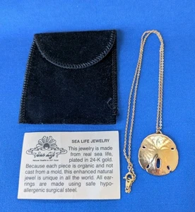 Sea Life Jewelry 24 kt Gold Plated Sand Dollar Necklace Sun Life Jewelry Vintage - Picture 1 of 5