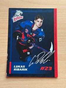 Lukas Ribarik Nürberg IceTigers 2023-24 Autogrammkarte original signiert #8167 - Picture 1 of 1