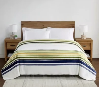 Pendleton Soft Plush Blanket Pinto Basin Queen 98" x 92" Ivory Blue Striped NIP - Image 1 of 4