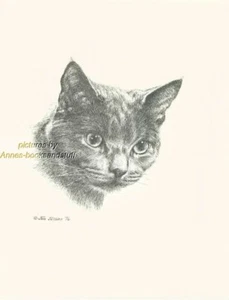 #114 RUSSIAN BLUE portrait *  cat art print * pen & ink drawing by Jan Jellins - Picture 1 of 1