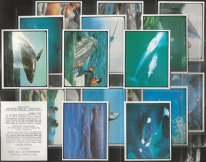 SANITARIUM-FULL SET- MAMMALS OF THE SEAS 1985 (L20 CARDS) EXCELLENT